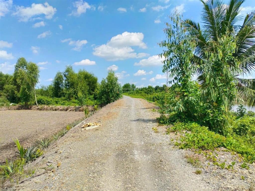 Chủ bán hơn 1,3ha đất nông nghiệp mặt tiền kênh thủ thừa, long an