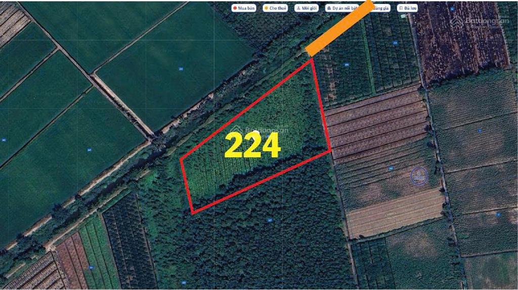 Chủ bán hơn 1,3ha đất nông nghiệp mặt tiền kênh thủ thừa, long an