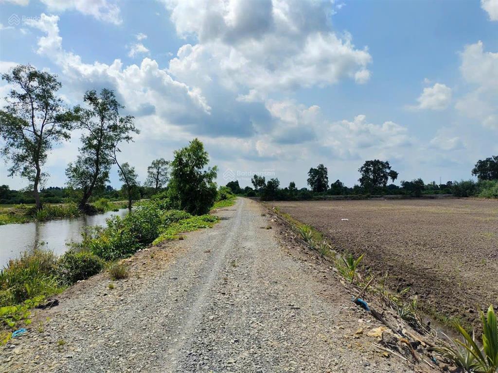 Chủ bán hơn 1,3ha đất nông nghiệp mặt tiền kênh thủ thừa, long an