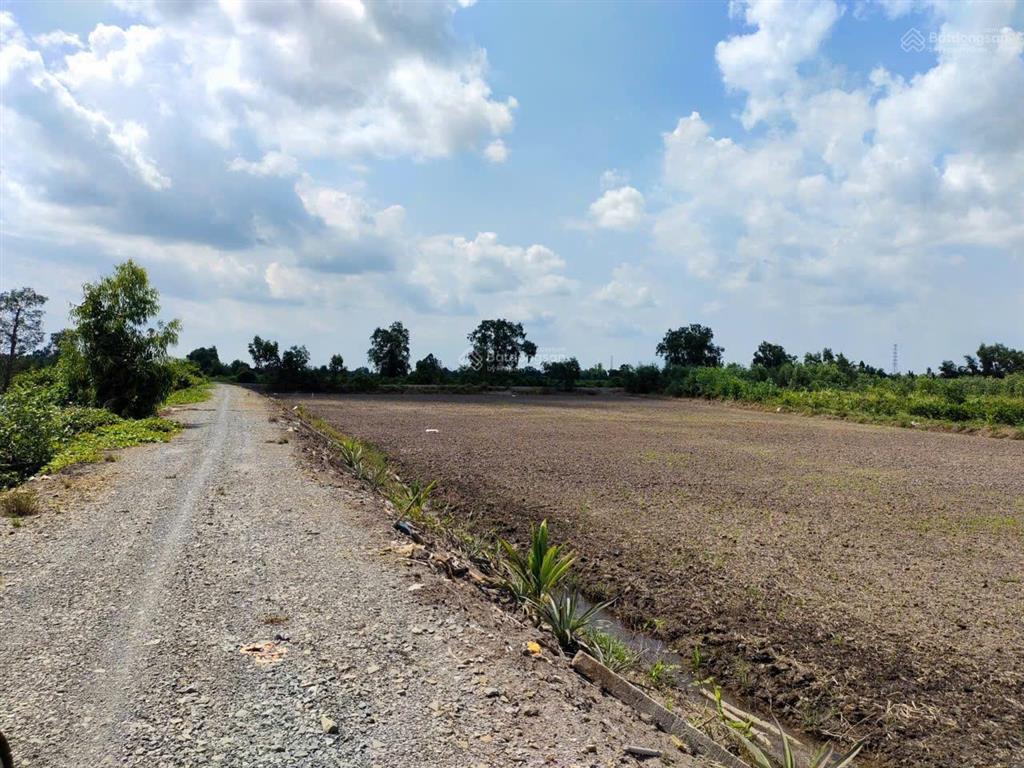 Chủ bán hơn 1,3ha đất nông nghiệp mặt tiền kênh thủ thừa, long an