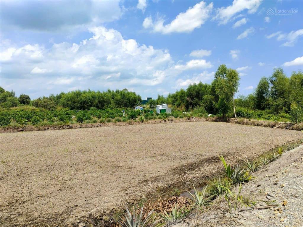 Chủ bán hơn 1,3ha đất nông nghiệp mặt tiền kênh thủ thừa, long an