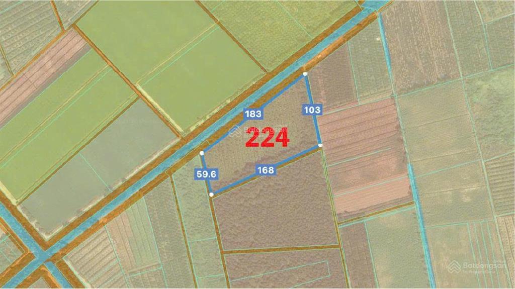 Chủ bán hơn 1,3ha đất nông nghiệp mặt tiền kênh thủ thừa, long an