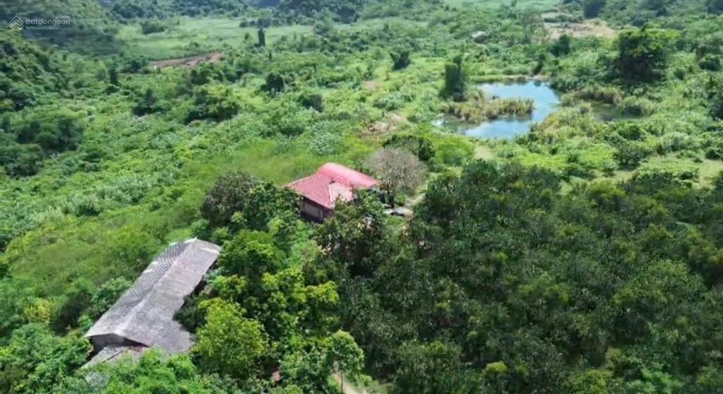 12000m2 đất nghỉ dưỡng kim bôi hoà bình có ao có suối chảy trong đất giá rẻ