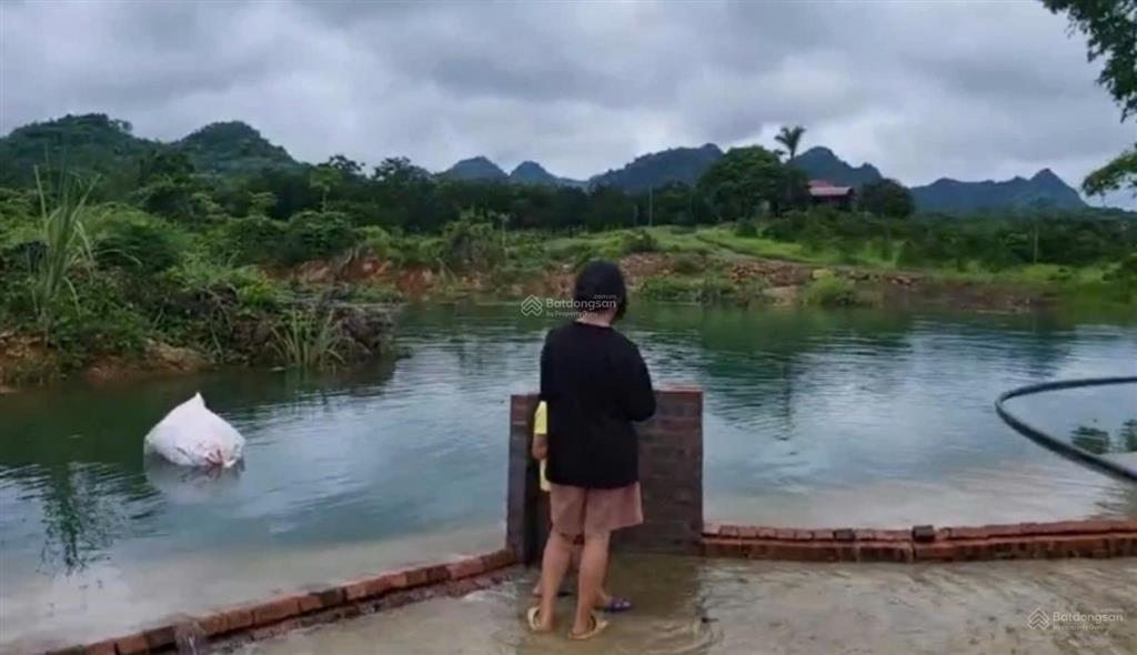 12000m2 đất nghỉ dưỡng kim bôi hoà bình có ao có suối chảy trong đất giá rẻ