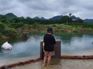 12000m2 đất nghỉ dưỡng kim bôi hoà bình có ao có suối chảy trong đất giá rẻ