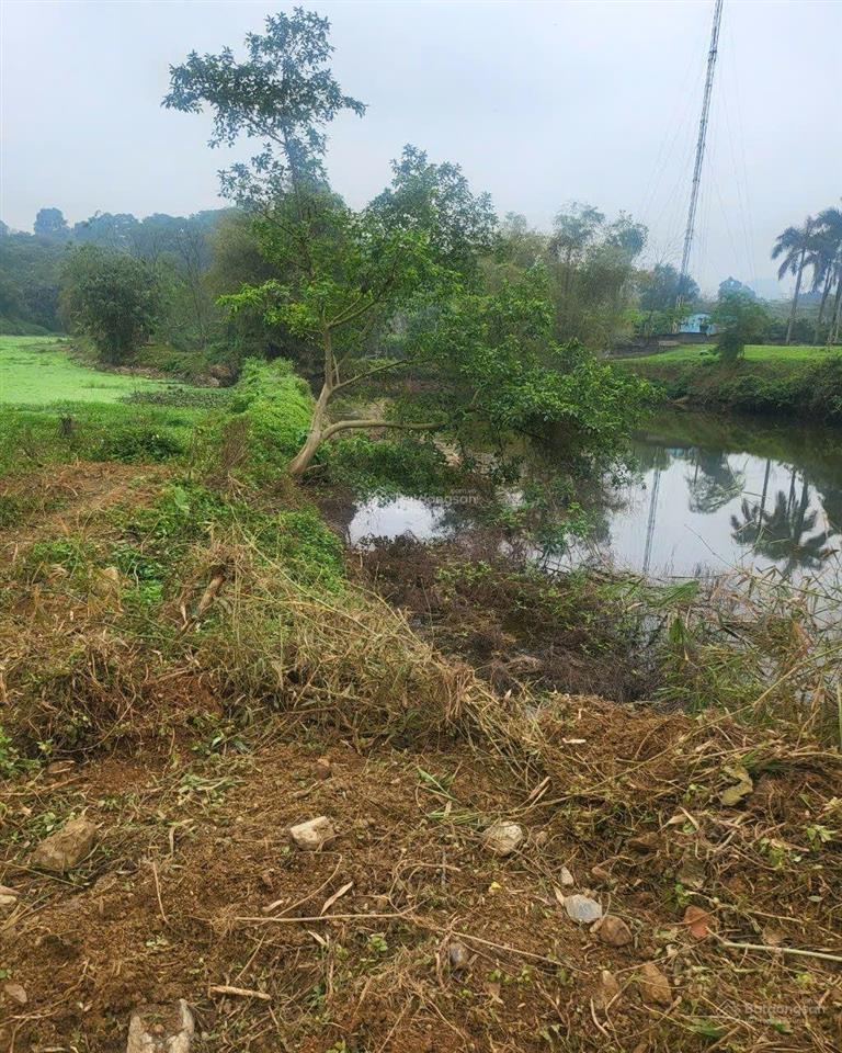 Lô đất hơn 7000m2 ngay ngần hồ đồng sương view thoáng mát giá rẻ hiếm có tại lương sơn hòa bình