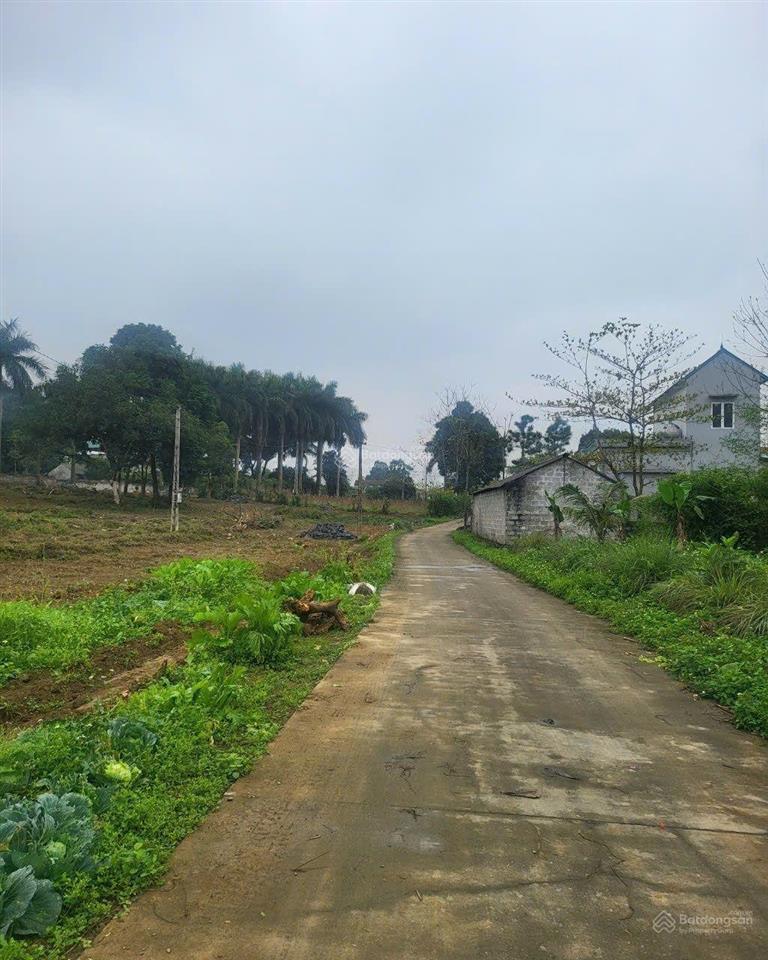 Lô đất hơn 7000m2 ngay ngần hồ đồng sương view thoáng mát giá rẻ hiếm có tại lương sơn hòa bình