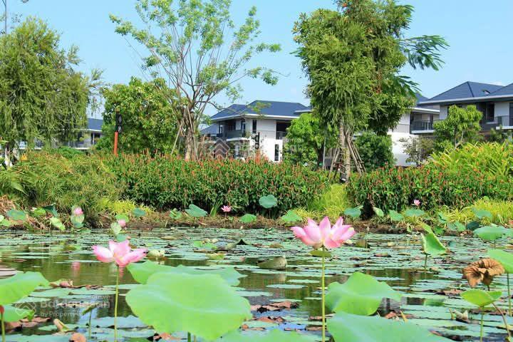 Bán nhanh trong tuần nhà biệt thự kế góc id junction, thị trấn long thành, 7.1 tỷ bao thuế phí