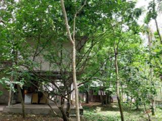Lô đất đẹp xã phú hòa đông  củ chi, dt 1653m2. gần ubnd, chợ, giao thông thuận tiện di chuyển