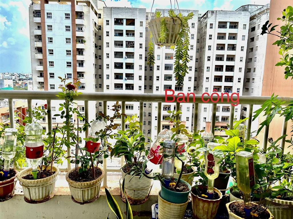 Cần bán chung cư bàu cát 2  diện tích 60m  90m ( 2pn , 3pn )sổ hồng rồi