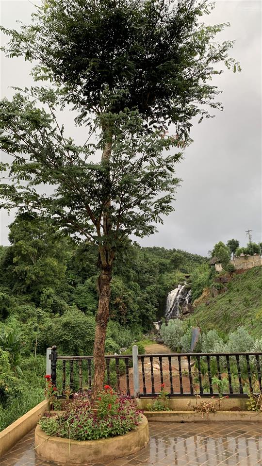 Bán đất có 1400m2 thổ cư tại xã tân nghĩa (cũ), tỉnh lâm đồng, dt 4090m2, 115m mặt tiền.