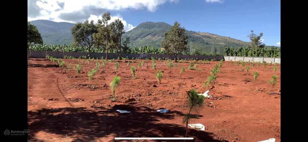 Bán đất dt 5200m2 sẵn thổ cư 1200m2 tại xã gia hiệp, tỉnh lâm đồng