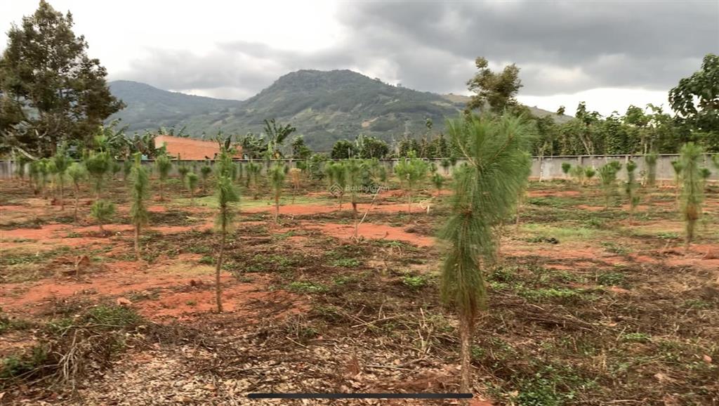 Bán đất dt 5200m2 sẵn thổ cư 1200m2 tại xã gia hiệp, tỉnh lâm đồng