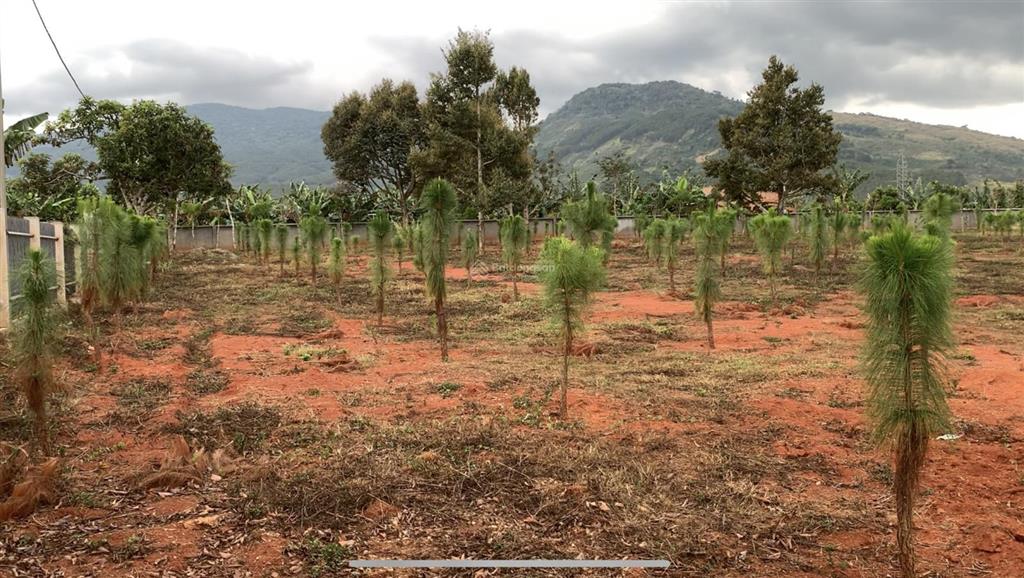 Bán đất dt 5200m2 sẵn thổ cư 1200m2 tại xã gia hiệp, tỉnh lâm đồng