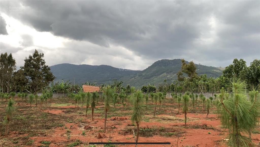 Bán đất dt 5200m2 sẵn thổ cư 1200m2 tại xã gia hiệp, tỉnh lâm đồng