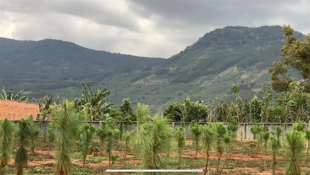 Bán đất dt 5200m2 sẵn thổ cư 1200m2 tại xã gia hiệp, tỉnh lâm đồng