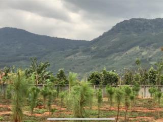 Bán đất dt 5200m2 sẵn thổ cư 1200m2 tại xã gia hiệp, tỉnh lâm đồng