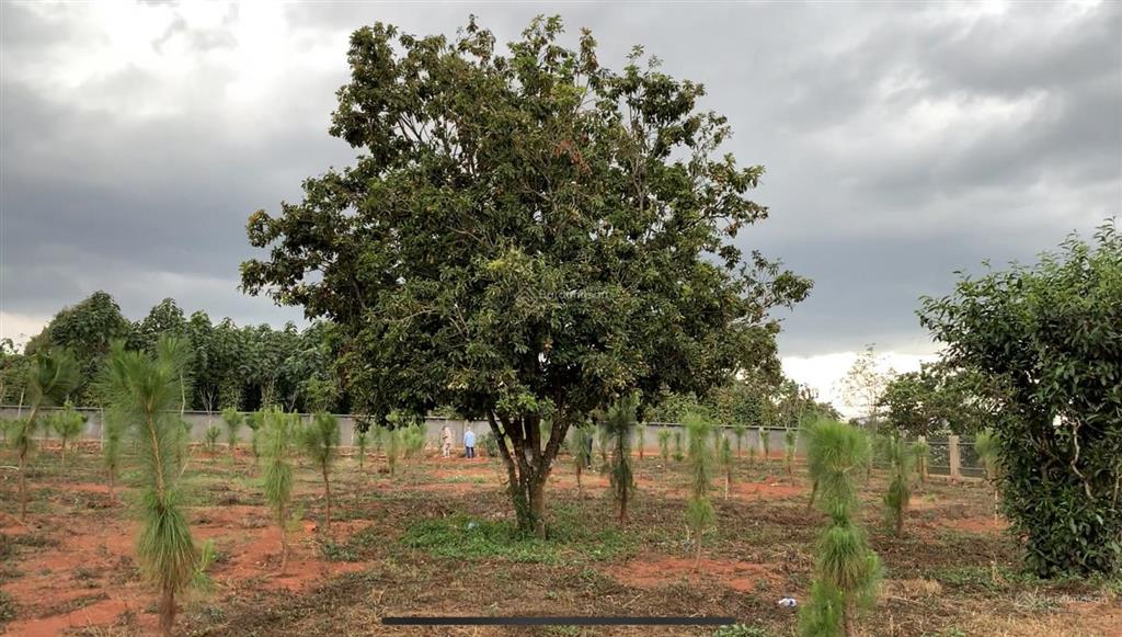 Bán đất dt 5200m2 sẵn thổ cư 1200m2 tại xã gia hiệp, tỉnh lâm đồng