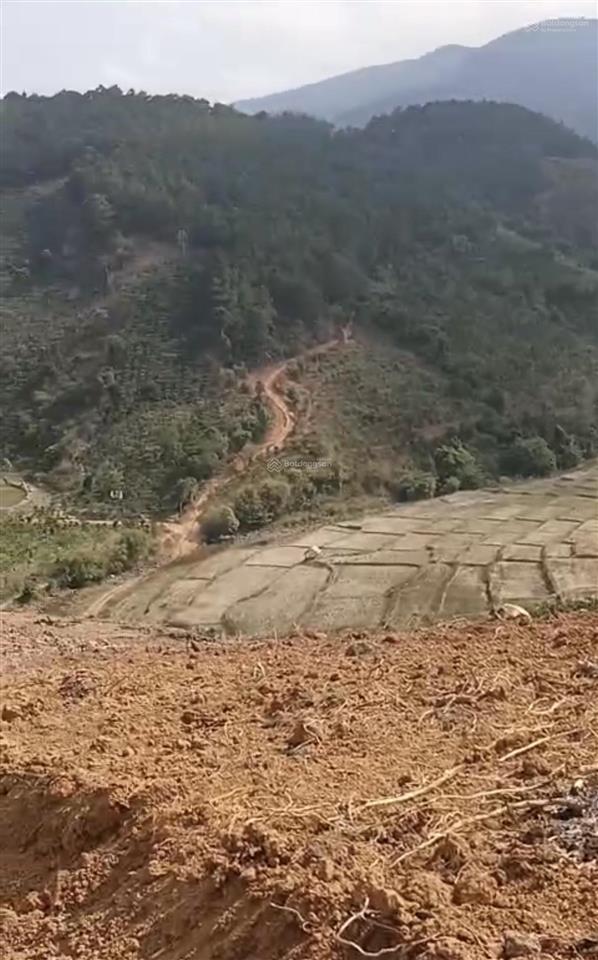 Bán đất phong thủy 15000m2 view đồi thông, suối, núi và ruộng tại thôn 7 xã gia hiệp, huyện di linh