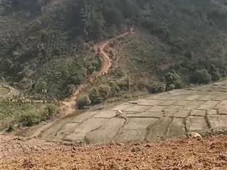 Bán đất phong thủy 15000m2 view đồi thông, suối, núi và ruộng tại thôn 7 xã gia hiệp, huyện di linh