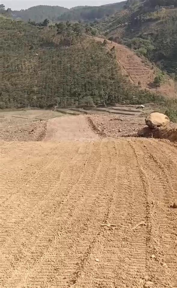 Bán đất phong thủy 15000m2 view đồi thông, suối, núi và ruộng tại thôn 7 xã gia hiệp, huyện di linh