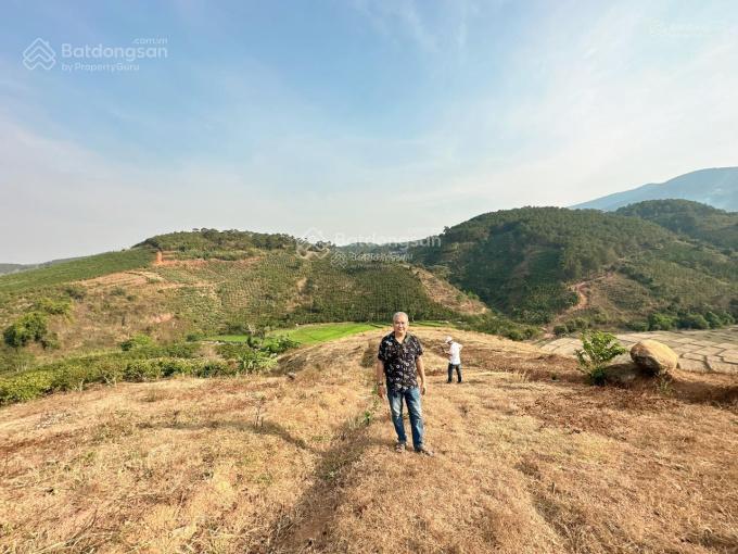 Bán đất phong thủy 15000m2 view đồi thông, suối, núi và ruộng tại thôn 7 xã gia hiệp, huyện di linh