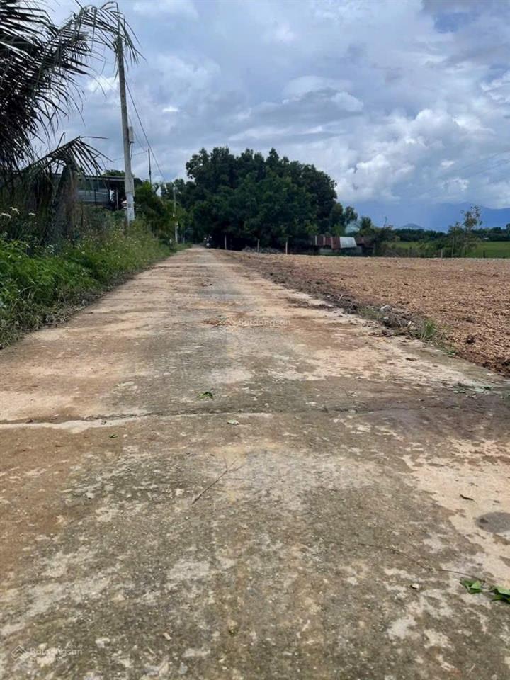 Cắt bán 151m2  167m2 full thổ cư xã suối tiên giá rẻ 680 triệu bao sang tên sổ