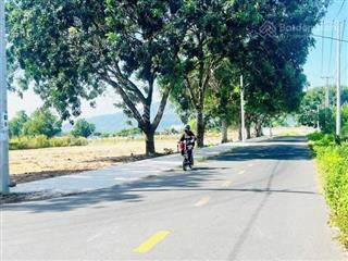 Bán đất biển phước hải, bà rịa vũng tàu, gần đường ven biển 994 view núi đẹp 293m2 thổ cư 80m2