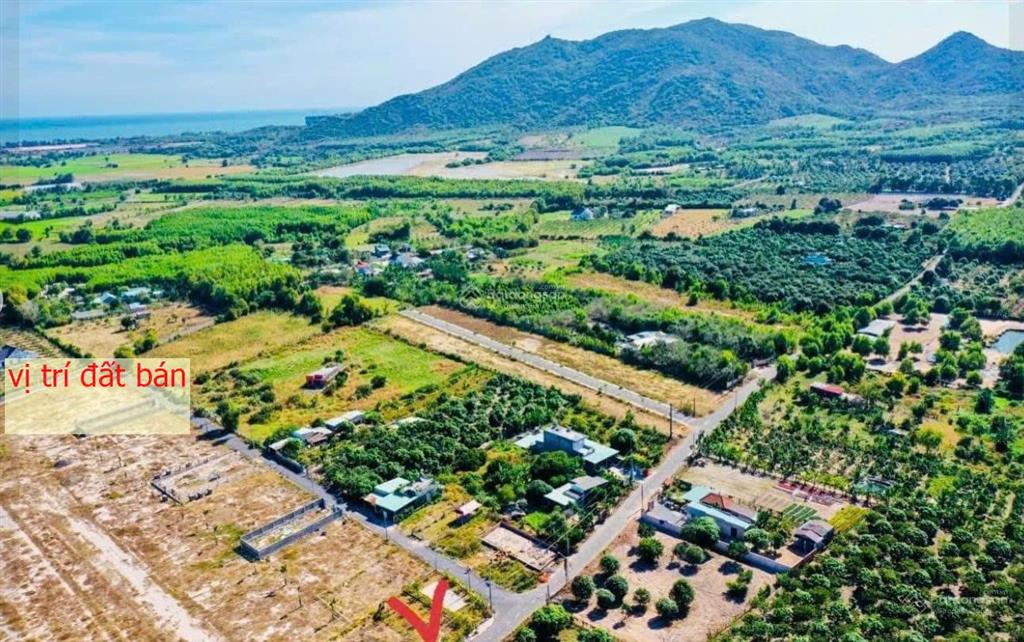 Bán đất long mỹ  phước hải view núi, 1,25 tỷ, 126m2, mặt tiền đường nhựa gần biển