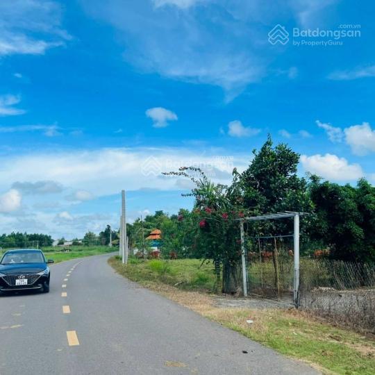 Bán đất sổ riêng 242m2 ngang 6x40m 80m2 thổ cư. cổng chính khu công nghiệp đất đỏ long đất, brvt