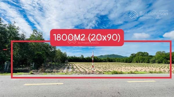 Bán đất tại long mỹ, đất đỏ, bà rịa vũng tàu, giá ưu đãi 5,5 tỷ, diện tích 1800m2 thổ cư 100m
