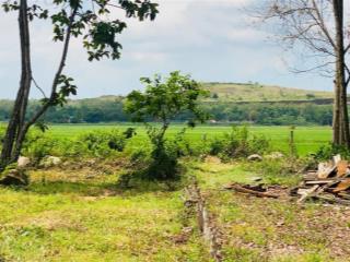 Siêu phẩm view cánh đồng lúa trung tâm đất đỏ brvt