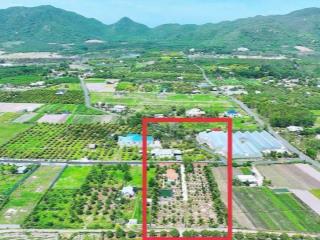 Bán 1000m2 đất nghỉ dưỡng xã phước hải  tp.hcm