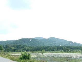 Bán đất f0 view núi biển phước hải  tp.hcm