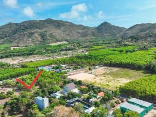 9 lô đất phước hải gần hồ view núi minh đạm sát đường hải lâm bàu trứ giá từ 5,6 triệu/m2 gần biển