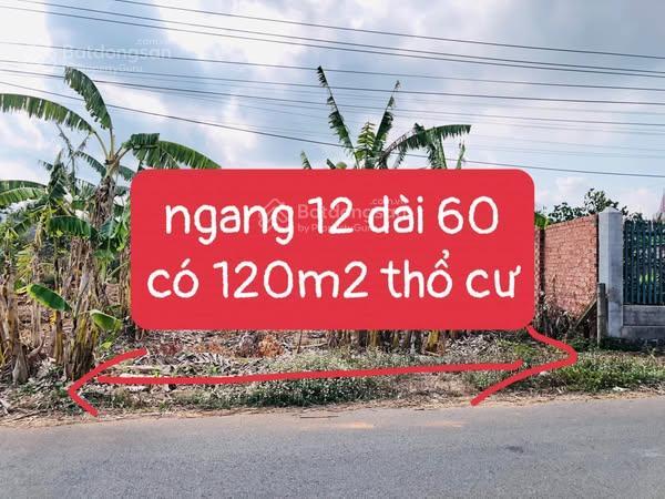 Đất 693m² trung tâm thị trấn đất đỏ giá chỉ 2 tỷ 8 sổ riêng gần chợ, trường học, biển phước hải