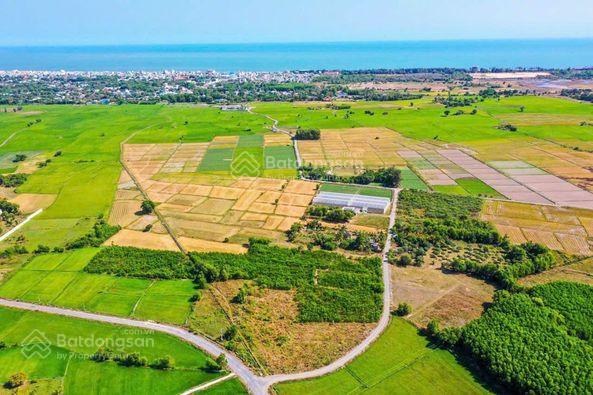 Đất phước hải 689,5m2 sẵn 315m2 thổ cư gần biển, khu lan rừng resort