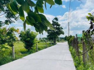1.000m2 đất thị trấn phước hải mới  h. long đất  brvt mặt tiền 30m x33 phủ hồng view núi gần biển