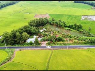 Đất view cánh đồng lúa bao quanh dt 5000m2 mặt tiền gần 100m, phước long thọ, đất đỏ, giá 4 tỷ