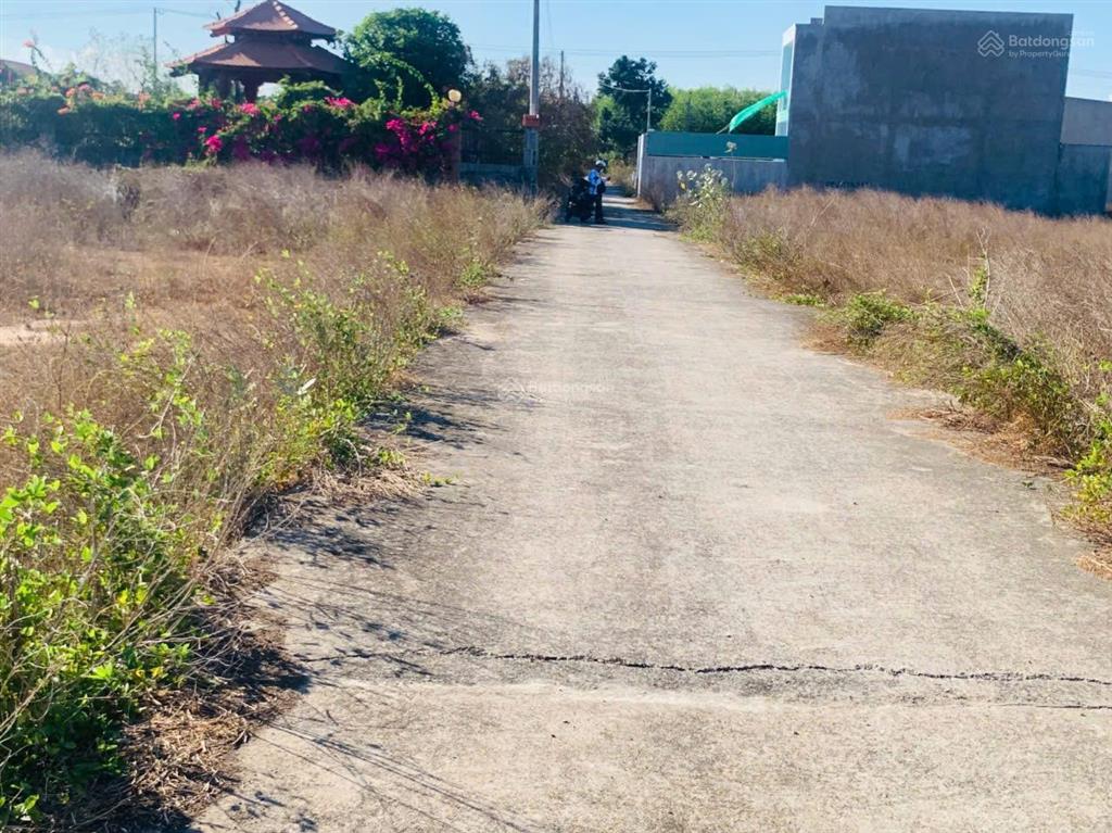 Bán đất ven biển phước hải giá rẻ xây nhà nghỉ dưỡng. 6x20 đường a5 1,1 tỷ sổ sẵn công chứng ngay