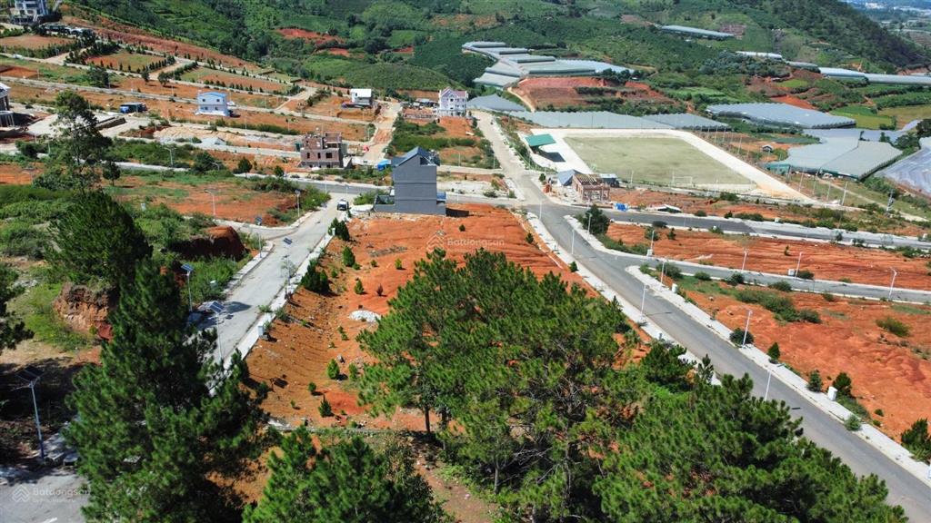 Độc quyền! quỹ hàng giá rẻ đầu tư view đồi thông, nhiều lô góc chỉ 19 tr/m2 kđt vạn xuân  đà lạt
