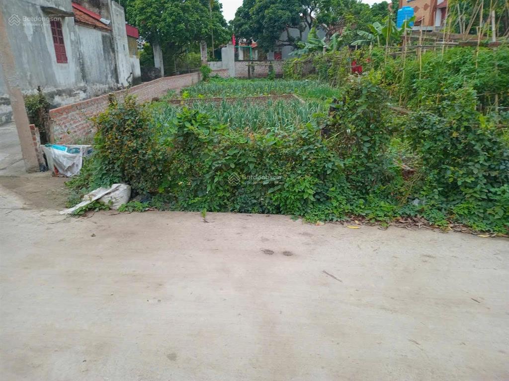 73,6m2 nở hậu mặt tiền 7,3m ô tô đỗ cửa