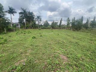 Bán đất vĩnh thanh, vị trí một xẹt đường 25c. dt đẹp, có 150m2 thổ cư, giá đầu tư cực tốt,  ngay