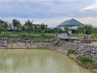 Bán farm sinh thái 16.240m² diên thọ, diên khánh, khánh hòa có nhà, hồ cá, full cây ăn trái