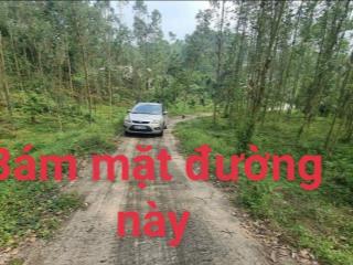 Bán 1956m2 đất rsx tại núi voi vân trục lập thạch vĩnh phúc. gần hồ vân trục