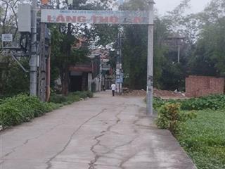 Hàng hiếm thọ am, liên ninh diện tích 42,6m2, thoáng mát, ô tô vào đất, giá cực sốc chỉ 3xx tỷ