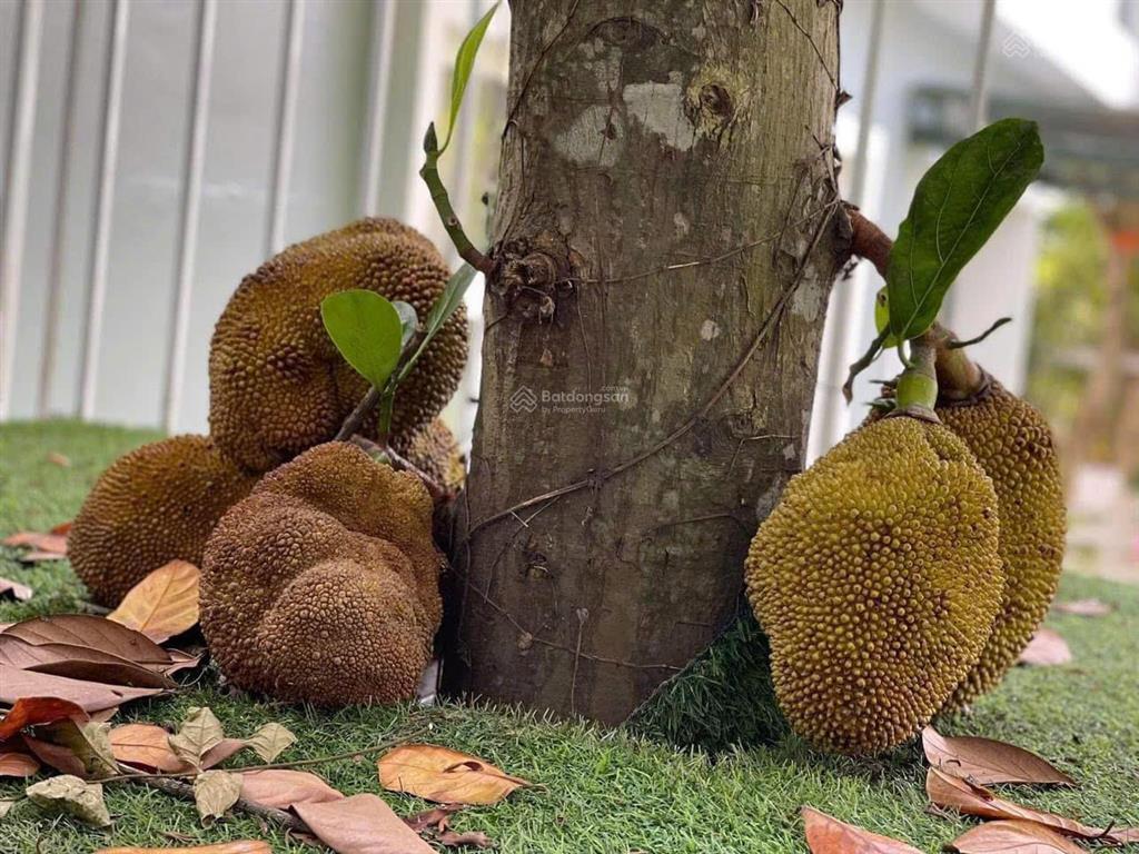 Chủ nhà cần tiền gấp bán nhanh căn biệt thự 258m2, sẵn sổ đỏ + full nội thất, gía thỏa thuận