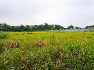 Bán 3500m2 đất cụm công nghiệp Ninh Hiệp, Gia Lâm, Hà Nội. Lô 2 mặt tiền