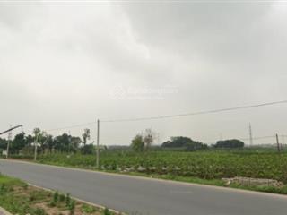 Bán 2ha đất tmdv mặt đường đt379 văn giang, hưng yên