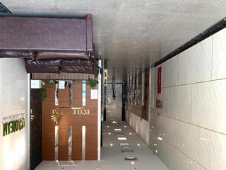 Bán căn hộ cc 2pn eco drem city nguyễn xiển. cc mới, không gian sống tốt , dt 46m2, nhỉnh 4 tỷ